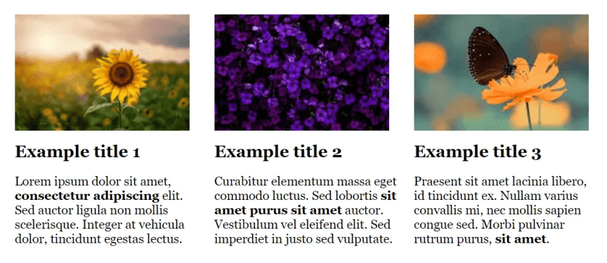 Drupal image gallery paragraph Gallery on Drupal