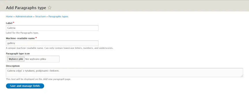 View of adding the second paragraph type Second paragraph type in Drupal