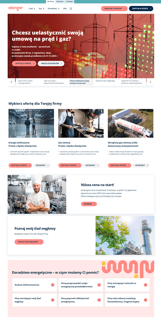 Elenger project - the effects Case study Elenger - effects