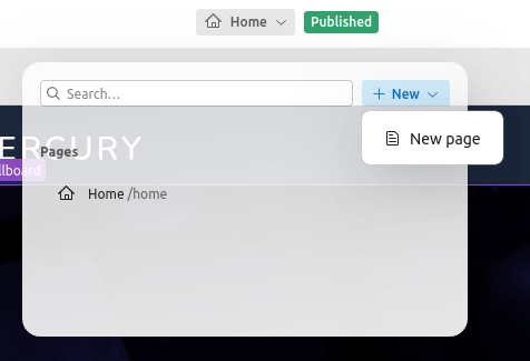 Drupal Canvas - adding a new page