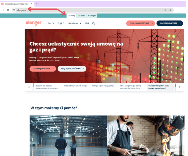 Elenger - architektura Elenger.pl domyślnie w wersji dla firm