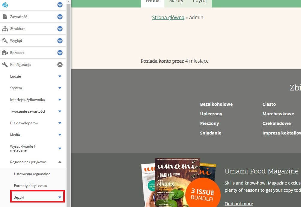 języki w Drupal CMS konfigurowanie języka na drupalu