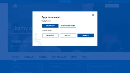 Witryna Akademia Leona Koźmińskiego - opcje dostępności