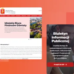 MBFO case study - zajawka