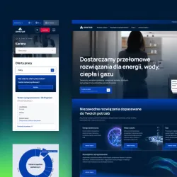 Apator Group - case study