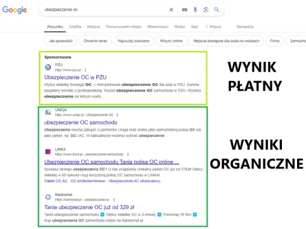 Wyniki płatne