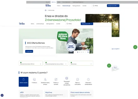 Enea's new website - about the project
