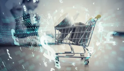 Platformy e-commerce - Magento i PrestaShop