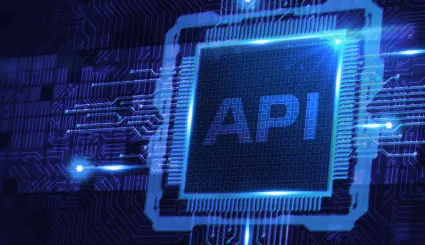 Zalety korzystania z API Platform