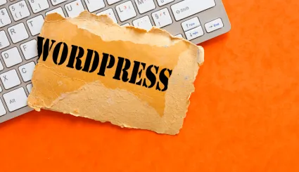 Koszt strony WordPress