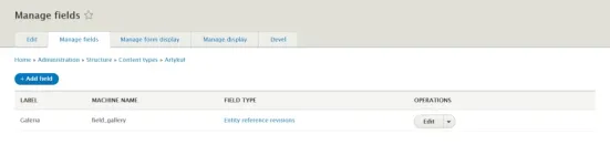 Adding a paragraph to a content type