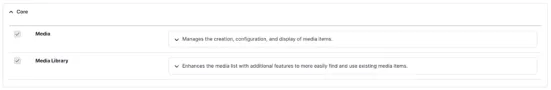 Moduły Media i Media Library w Drupalu