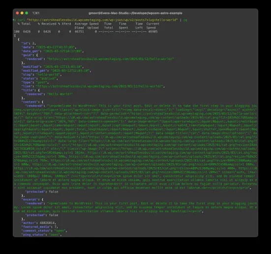 Rest API wbudowany w CMS-a