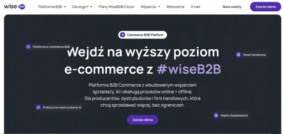 Platforma B2B WiseB2B