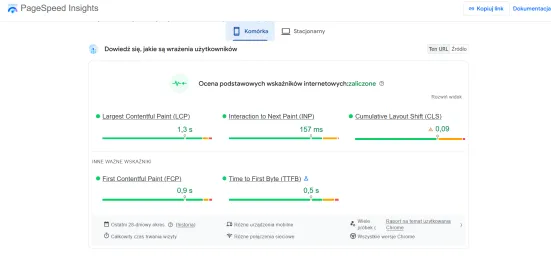 Page Speed Insights