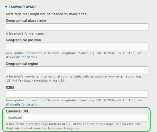 Canonical tag w Drupalu