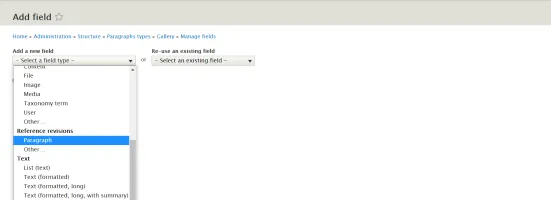 Dodawanie pola typu Paragraph