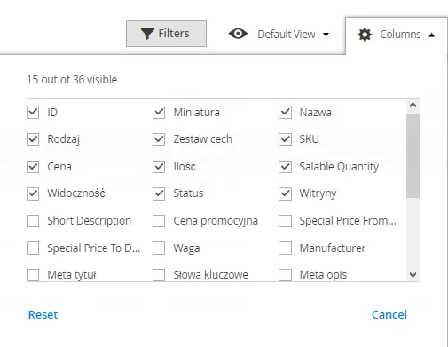 Ustawianie filtrów w Magento 2
